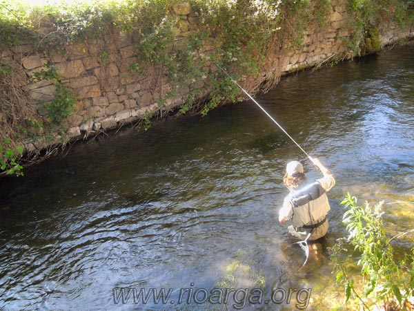 Mario-Bravo-pescando