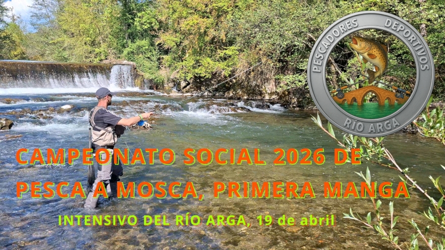 social mosca 2026 1 2