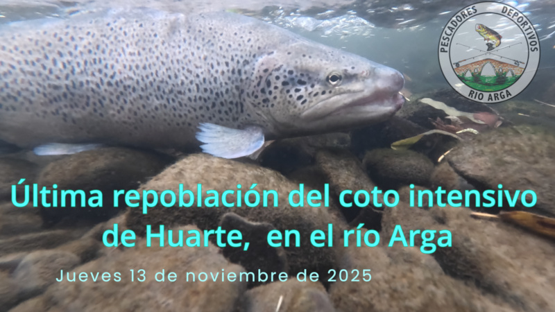 repoblacion rio arga nov 2025