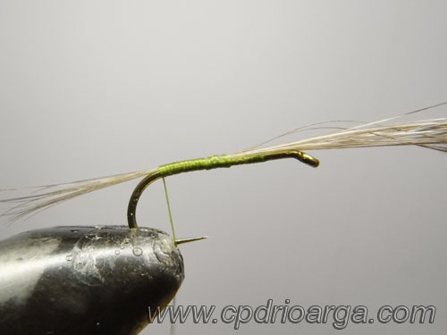 rhodani-seda-collar-2