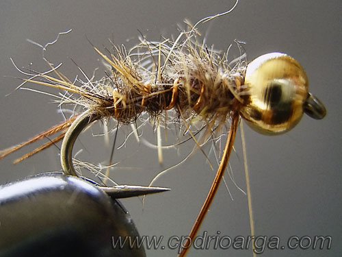 ninfa liebre 4