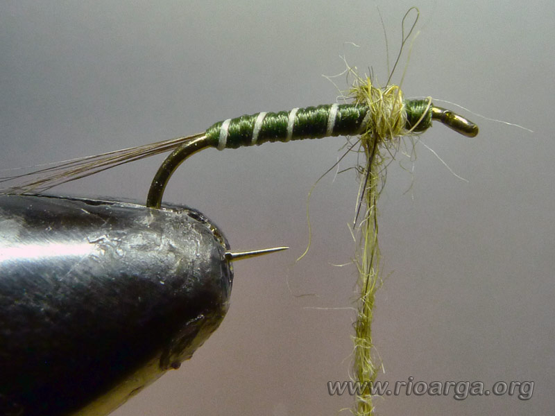 Añadimos el dubbing de liebre oliva formando el tórax