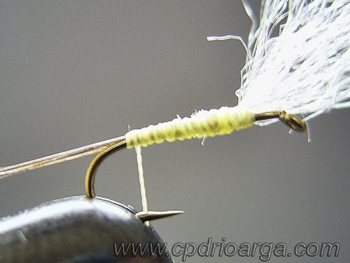 baetis rhodani parachute3