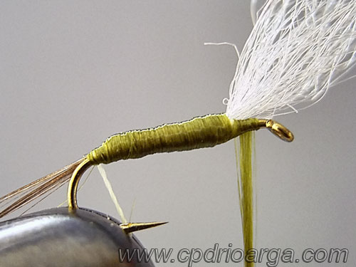 baetis rhodani parachute4