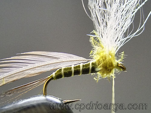 baetis rhodani parachute6