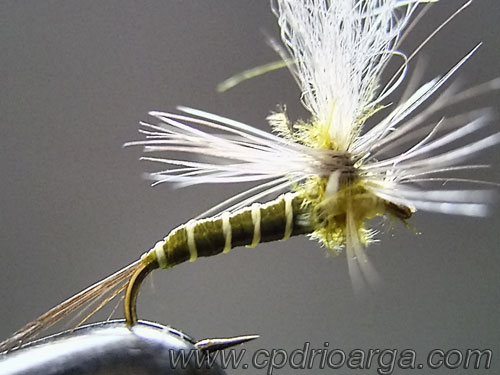 baetis rhodani parachute8