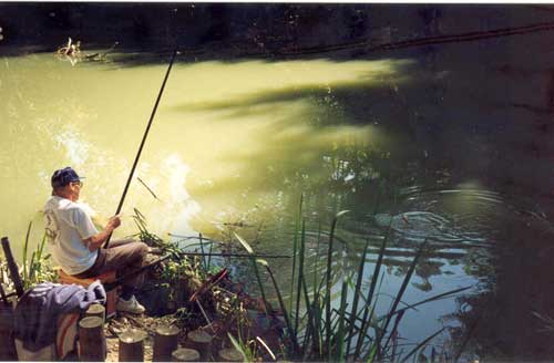 Fiesta del Río Arga 1.996, Observamos un participante peleando con una bonita captura. 