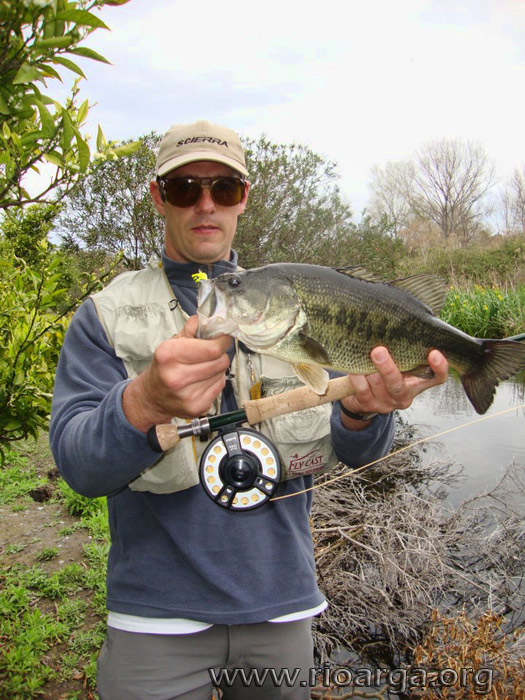 bass-de-44cm-pescado-a-popper