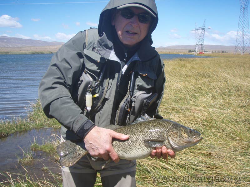 Río Arroyo pescado. Pepe Arbildi con una perca patagónica.